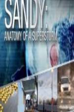Watch Sandy Anatomy Of A Superstorm Afdah