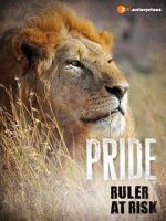 Watch Pride - Ruler\'s at Risk Afdah