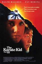 Watch The Karate Kid, Part III Afdah