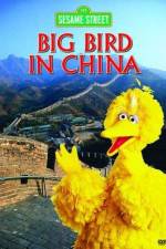 Watch Big Bird in China Afdah