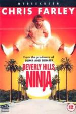 Watch Beverly Hills Ninja Afdah
