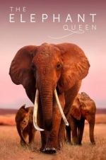 Watch The Elephant Queen Afdah