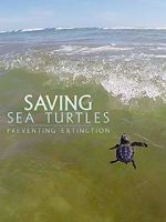 Watch Saving Sea Turtles: Preventing Extinction Afdah