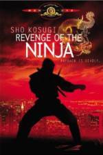 Watch Revenge of the Ninja Afdah