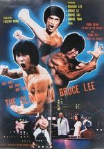 Watch The Clones of Bruce Lee Afdah
