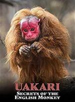 Watch Uakari: Secrets of the English Monkey Afdah