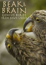 Watch Beak & Brain - Genius Birds from Down Under Afdah