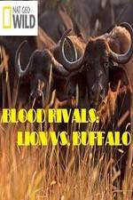 Watch National Geographic - Blood Rivals: Lion vs. Buffalo Afdah