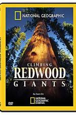 Watch National Geographic Explorer: Climbing Redwood Giants Afdah