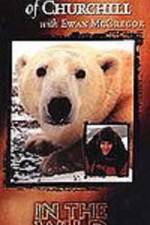 Watch The Polar Bears of Churchill with Ewan McGregor Afdah
