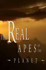 Watch The Real Apes of the Planet Afdah
