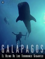 Watch Galapagos: Realm of Giant Sharks Afdah