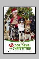 Watch 12 Dog Days of Christmas Afdah