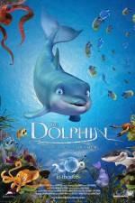 Watch The Dolphin Story of a Dreamer Afdah