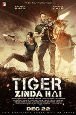 Watch Tiger Zinda Hai Afdah