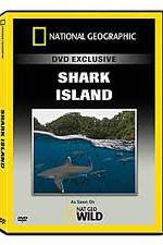 Watch National Geographic: Shark Island Afdah