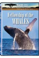 Watch Fellowship Of The Whales Afdah
