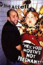 Watch Dave Attell - Hey Your Mouth's Not Pregnant! Afdah