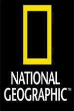 Watch National Geographic Wild Night Of The Lion Afdah