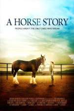 Watch A Horse Story Afdah