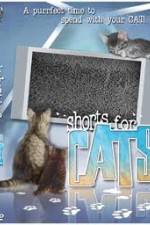 Watch Shorts for Cats Afdah