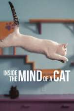 Watch Inside the Mind of a Cat Afdah