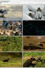 Watch National Geographic: Japans Hidden Secrets Afdah
