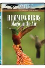 Watch Hummingbirds Magic in the Air Afdah