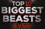 Watch Top 10 Biggest Beasts Ever Afdah