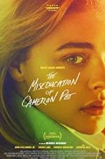 Watch The Miseducation of Cameron Post Afdah