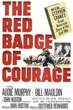 Watch The Red Badge of Courage Afdah