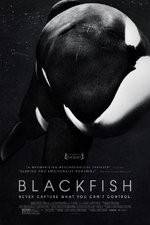 Watch Blackfish Afdah