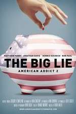 Watch American Addict 2 The Big Lie Afdah