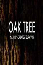 Watch Oak Tree Natures Greatest Survivor Afdah