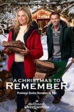 Watch A Christmas to Remember Afdah