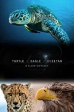 Watch Turtle, Eagle, Cheetah: A Slow Odyssey Afdah