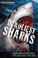 Watch National Geographic Worlds Deadliest Sharks Afdah