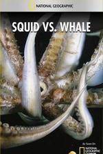 Watch National Geographic Wild - Squid Vs Whale Afdah