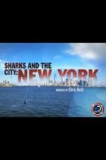 Watch Sharks and the City: New York Afdah