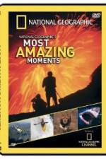 Watch National Geographic's Most Amazing Moments Afdah