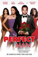 Watch The Perfect Man Afdah