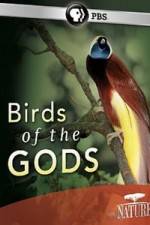 Watch Birds Of The Gods Afdah