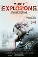 Watch Quiet Explosions: Healing the Brain Afdah