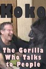 Watch Koko: The Gorilla Who Talks to People Afdah