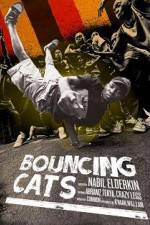 Watch Bouncing Cats Afdah