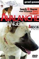 Watch Avalanche Angels Afdah