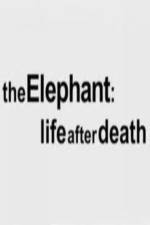 Watch The Elephant - Life After Death Afdah