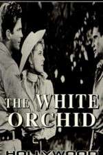 Watch The White Orchid Afdah