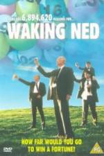 Watch Waking Ned Afdah