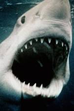 Watch Sharkmania: The Top 15 Biggest Baddest Bloodiest Bites Afdah